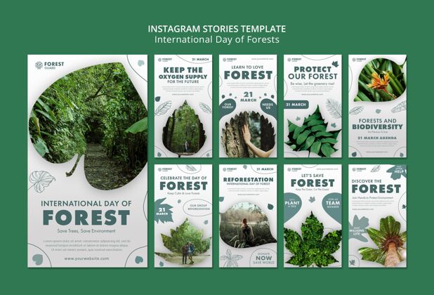生态森林日instagram故事模板与照片模板森林森林日