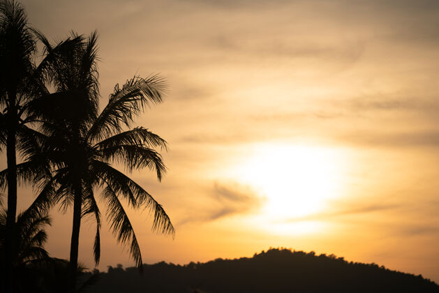 训练美丽的日落和美丽的天空椰子树在前景健康女人健身
