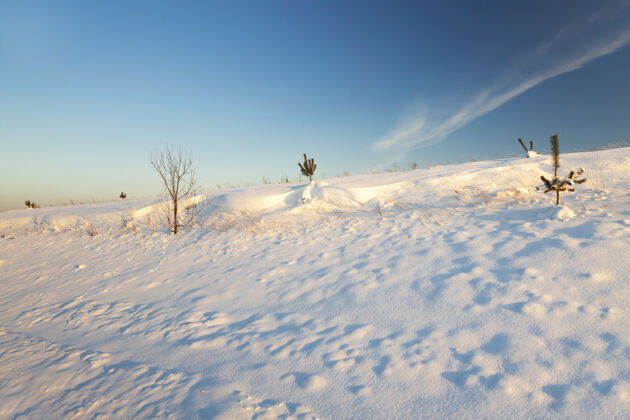 牧场白雪覆盖 白雪覆盖 冬天的田野霜冻干净雪