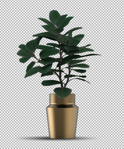 植物逼真的孤立盆栽渲染花盆室内植物3d植物