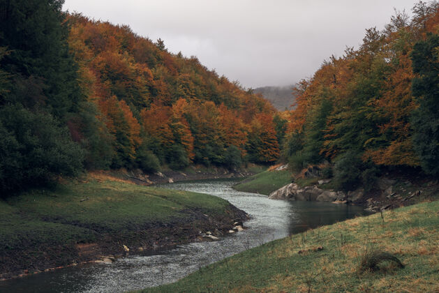 森林秋天的河流环绕着森林 秋天的伊拉蒂森林自然树枝水
