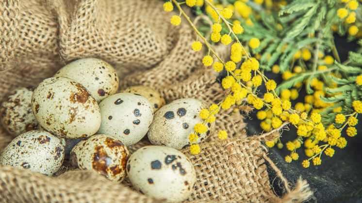 传统鹌鹑蛋和花麻袋健康斑点营养