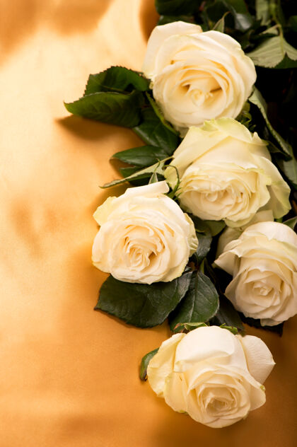 浪漫金色丝绸背景上的白玫瑰特写节日黄金变化