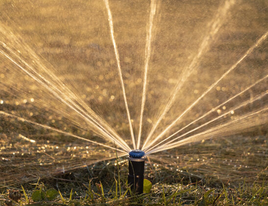 生长日落时自动喷水器浇灌草坪的特写镜头光园艺保湿
