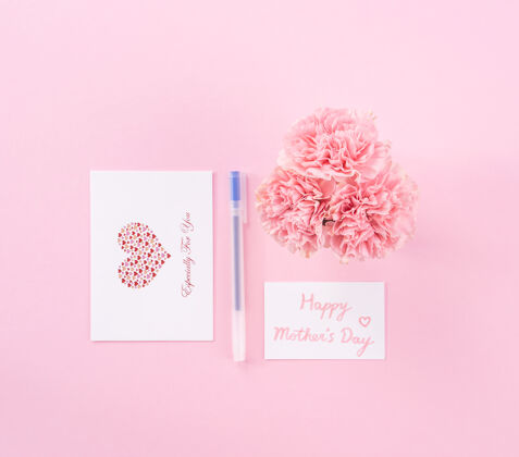 白天粉色康乃馨的俯视图 背景是粉色的母亲节花女人花束春天