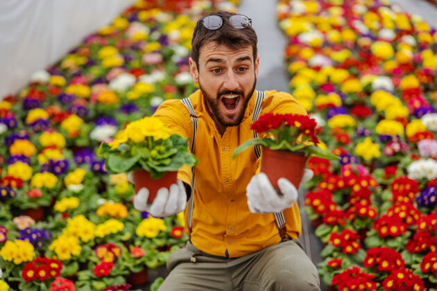 植物微笑的企业家蹲在温室里献上鲜花作为礼物温室工作有机