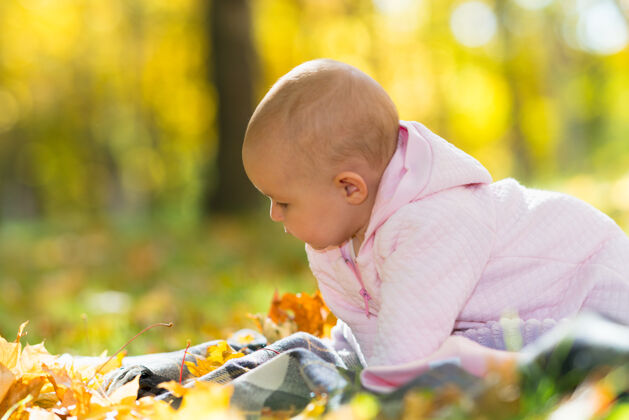 肖像一个好奇的婴儿在明亮的灯光和黄色的秋叶中玩耍托儿所花园年轻