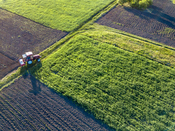 小麦不同作物和土壤的农田的抽象几何形态 没有作物播种 由道路和拖拉机分开 绿色和黑色颜色.天线从无人机上看生态鸟类拖拉机