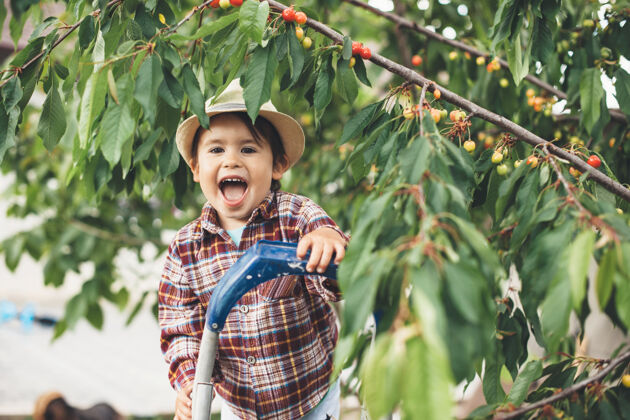 人笑眯眯的高加索人男孩用楼梯捡起樱桃对着树旁的摄像机微笑农业有机人