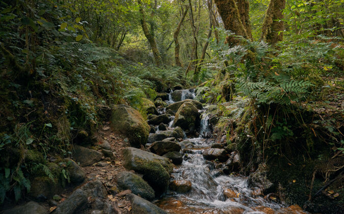 景观河流流经森林之间的岩石和瀑布加利西亚树叶森林萨默特圣地亚哥我们的路户外石头林地
