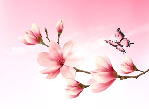 特写以粉红色花朵和蝴蝶的花枝为自然背景芽纯净背景
