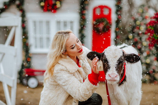 圣诞节在圣诞牧场上与小牛合影度假的女人装饰.下雪!圣诞节 冬天 新年 雪 房子 女人 动物 农场 宠物 寒冷 公牛 户外 年轻 乡村 装饰 白天 外套 漂亮 牧场 姿势 金发 后院 一年的象征