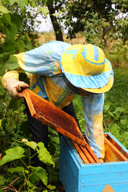 蜂巢养蜂人用糖浆喂蜜蜂工作帽子外面