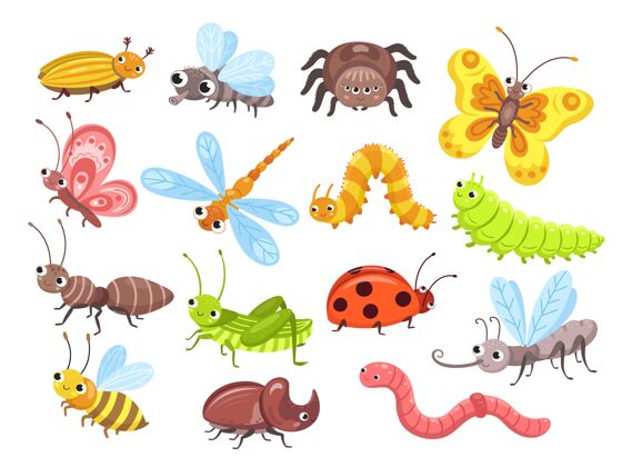 动物卡通昆虫苍蝇虫 可爱的蝴蝶和甲虫瓢虫蜘蛛人物
