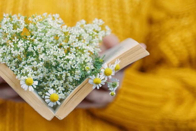 乡村穿针织毛衣的女人手里拿着一本书 里面放着雏菊 女人手里拿着一束野花 在开卷的概念里浪漫小说花园毛衣