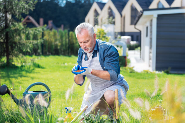园艺肥沃的土壤留着胡子的成熟丈夫在屋外的花园里帮助他的家人肥沃的土壤花盆可持续性围裙