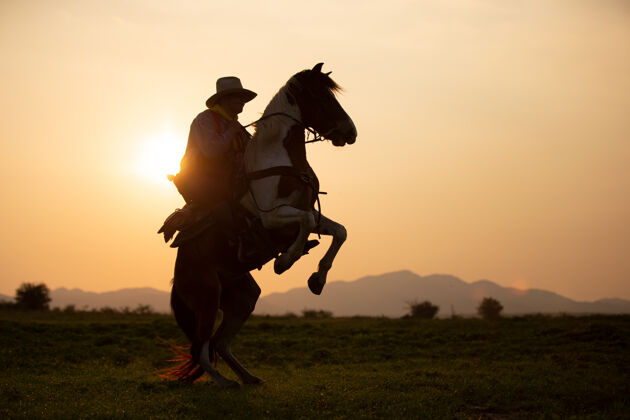 马牛仔骑在马背上迎着美丽的日落西部动作日落