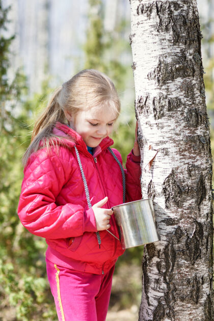 果汁树上的孩子有收集桦树树液的能力孩子填充林地