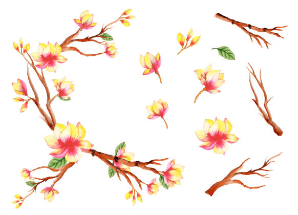 安排手工水彩花卉艺术套装绘画花卉叶子