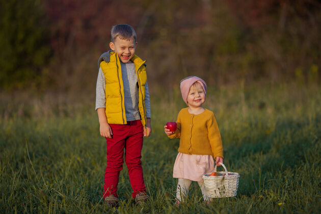 白种人可爱的小男孩和小女孩在秋天玩耍花园兄弟还有妹妹和红色的苹果热的明媚的秋天季节公园秋天