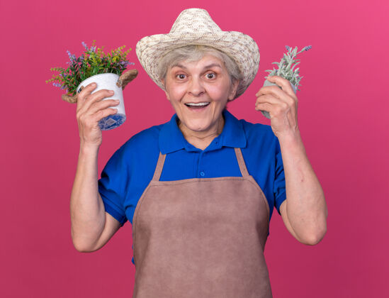 穿惊讶的上了年纪的女园丁戴着园艺帽拿着花盆花盆举行惊喜