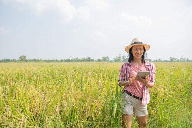 数字使用现代农业技术的智能农业亚洲年轻的女农艺师农民用数字平板电脑在稻田里使用应用程序和互联网 农民照顾她的水稻农艺师有机农业