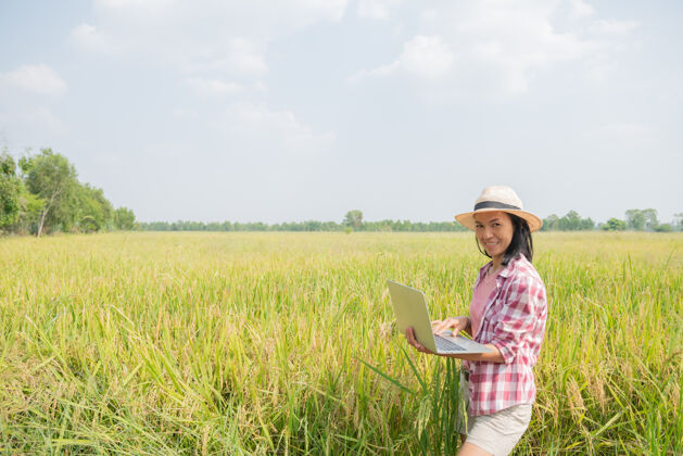 女性亚洲年轻的女农民戴着帽子站在地里 用笔记本电脑的键盘打字农业科技概念农民在金色的稻田里用笔记本电脑照顾她的水稻电脑互联网女人
