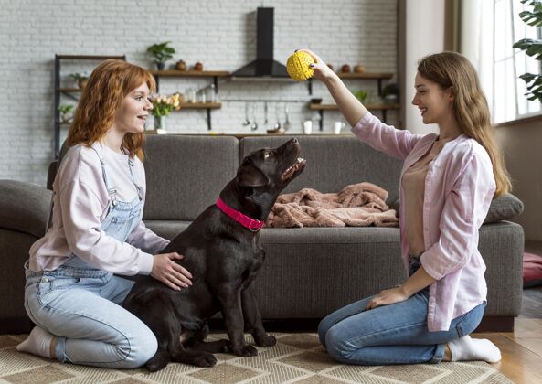 可爱全镜头女人和狗玩玩具全镜头在家里生活方式