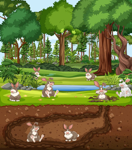 泥土地下动物洞穴与兔子家庭雌性建筑毛皮