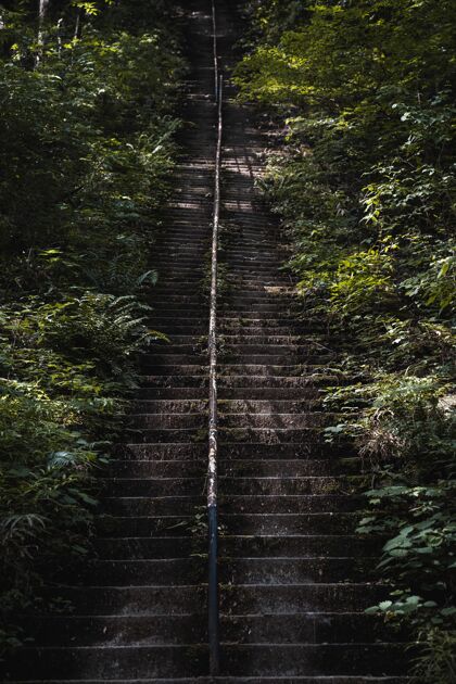 生长公园里苔藓覆盖的旧楼梯的垂直镜头树叶森林美