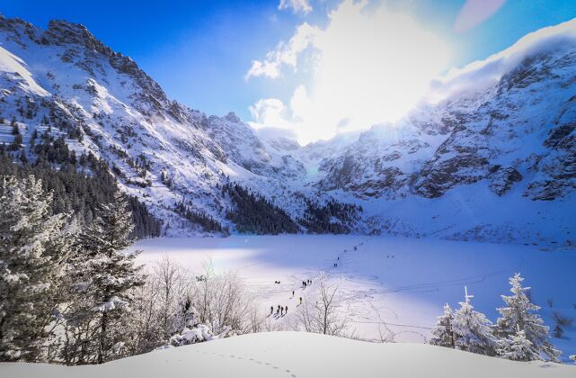高田野和山峦的景色都覆盖着白雪和灿烂的阳光森林寒冷雪