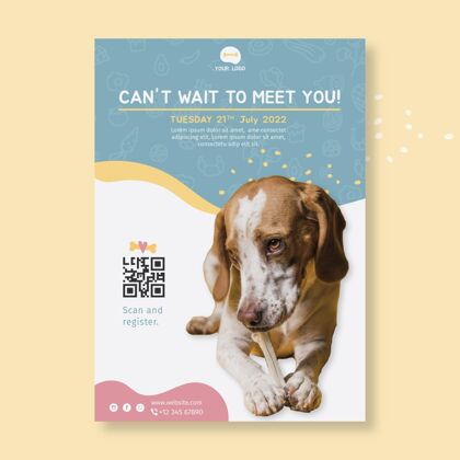 传单动物食品海报设计模板兽医护理动物食品海报模板