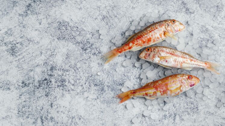 食物生鱼创意布置分类烹饪美味