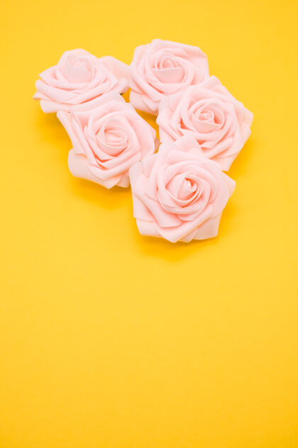 花垂直特写镜头粉红色玫瑰隔离在黄色背景与复制空间玫瑰复制空间花