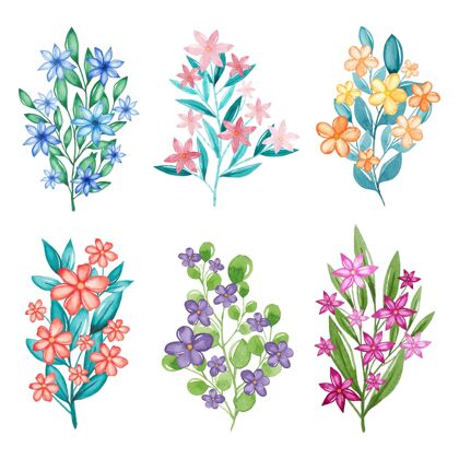 水彩画手绘水彩花卉收藏分类包装叶
