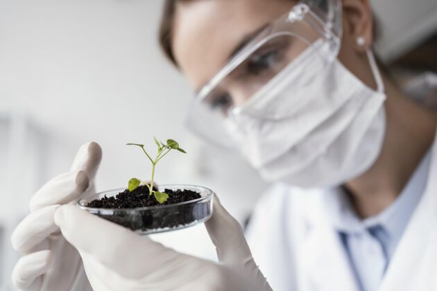 科学用植物特写科学家特写研究职业