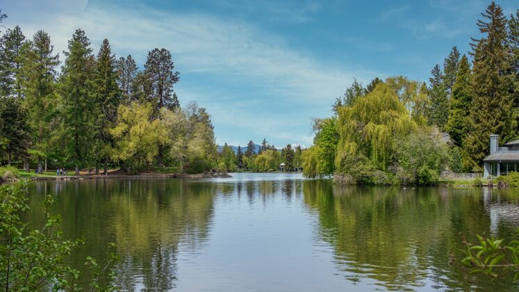 林在宁静的天空下 一个绿油油的湖被树木环绕 美丽的景色一览无余蓝景草