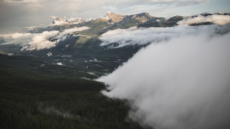 山阴天下的森林雾鸟瞰图自然