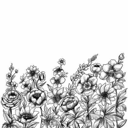 手绘装饰花卉素描花卉卡叶花