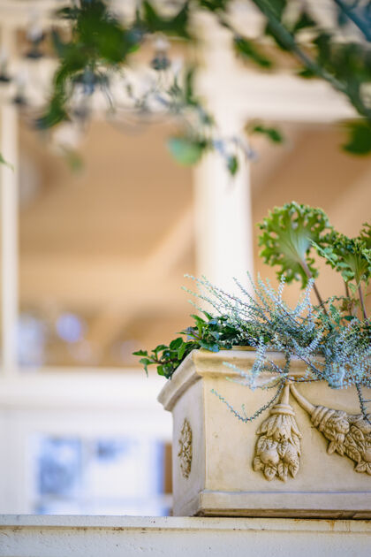 花白色陶瓷壶上的绿色植物花束罐子插花
