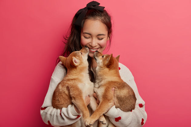 家庭爱 温柔 温暖的感觉和理解无需言语开朗的韩国妇女接受来自两个血统小狗的亲吻 无法想象没有宠物的生活 与动物最好的朋友一起快乐搞笑玩小