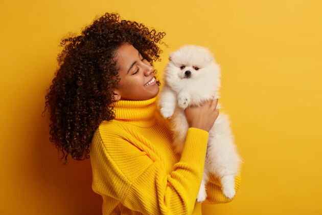 卷发积极的非裔美国妇女手上抱着听话的迷你狗 和心爱的宠物一起休息一天 在宠物店买了动物 隔离在黄色背景下拥抱宠物表达