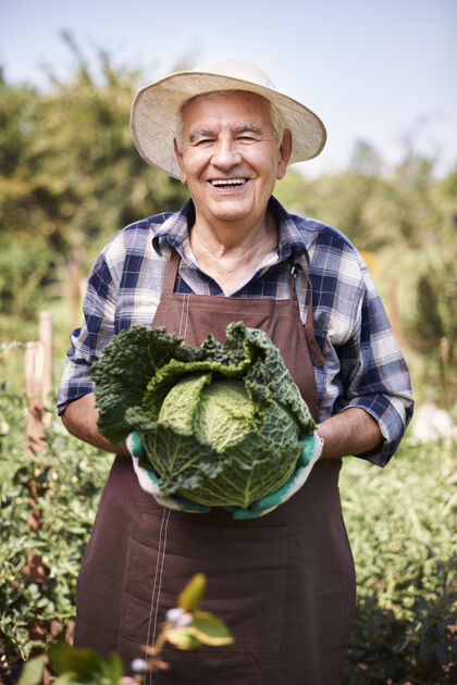 夏天在地里种菜的老人花园男人微笑
