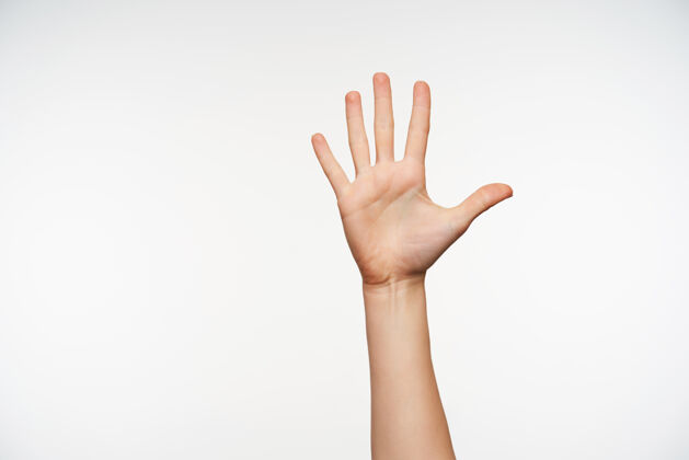 皮肤特写在妇女举起的手显示手掌和保持所有手指分开符号站手势