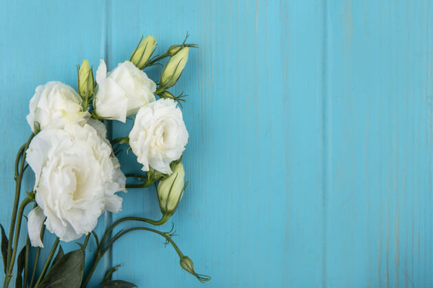白色顶视图惊人的白玫瑰与叶子上的蓝色背景与复制空间空间植物玫瑰
