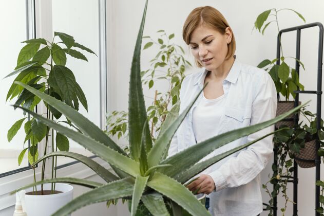 自然中枪女人检查植物装饰植物绿化