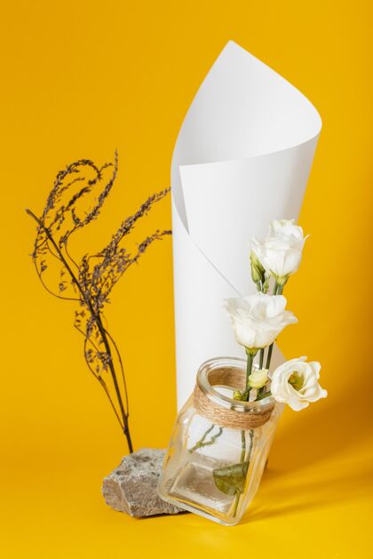 植物在一个有纸筒的花瓶里放着白玫瑰分类安排开花