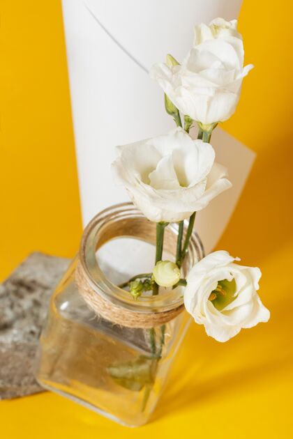开花把白玫瑰放在一个有纸筒的花瓶里蔬菜分类花
