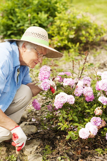 园艺设备花园里拿着花的老妇人玫瑰眼镜向下看