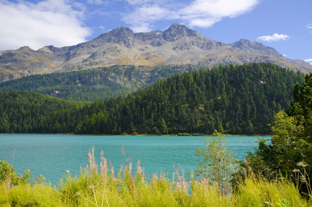景观在瑞士的阳光下 尚弗阿尔卑斯湖被群山环绕 绿树成荫高山顶部地标